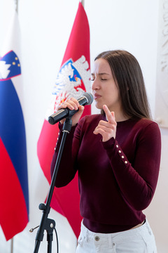 radijski koncert (14)